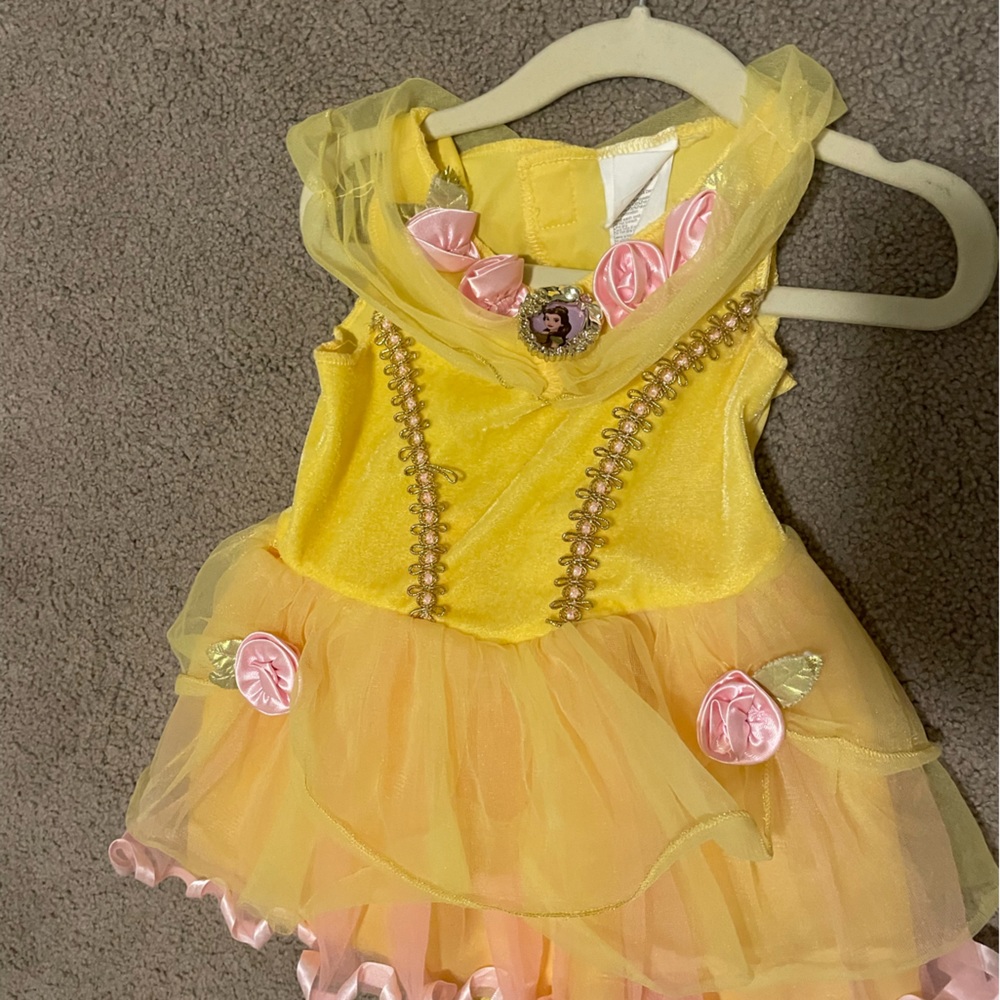 Gently used princess costume